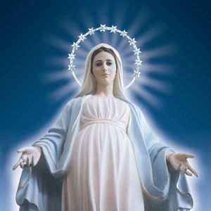 Meet your Posher, Betty